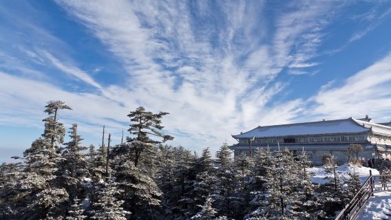 Tur Sehari Leshan Giant Buddha + Gunung Emei: Transfer Mobil Pribadi [Waktu Keberangkatan Fleksibel]