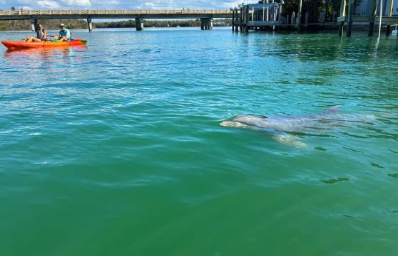博尼塔泉生態獨木舟之旅 – 最佳裝備，優質透明獨木舟