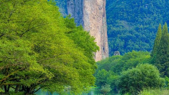 Vehículo comercial | Opción de guía en inglés | Salida desde Hangzhou al lugar turístico de Jinyun Xiandu