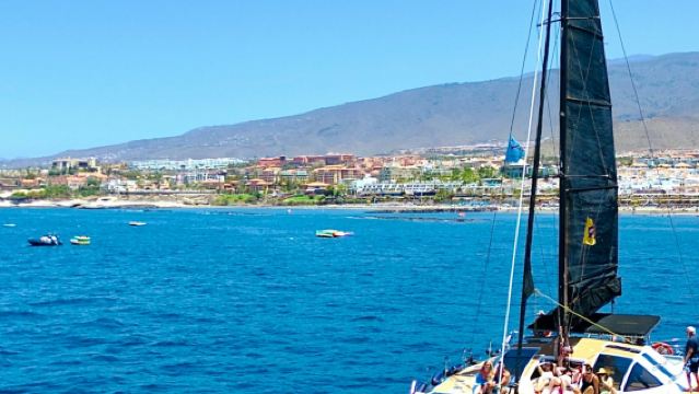 Tenerife: 3-Hour Whale & Dolphin Watching Catamaran Tour with Catering