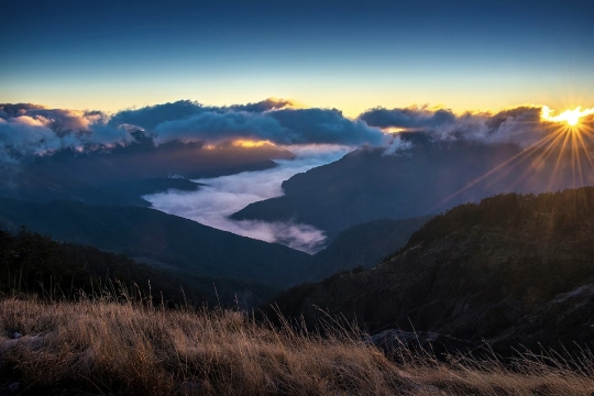 台中來回 :阿里山一日遊 私人包車10H|可定制行程
