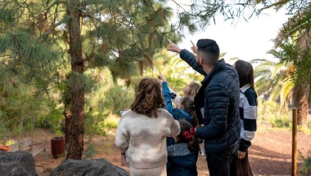 Guïmar : billet d'entrée au parc ethnographique des pyramides de Güímar