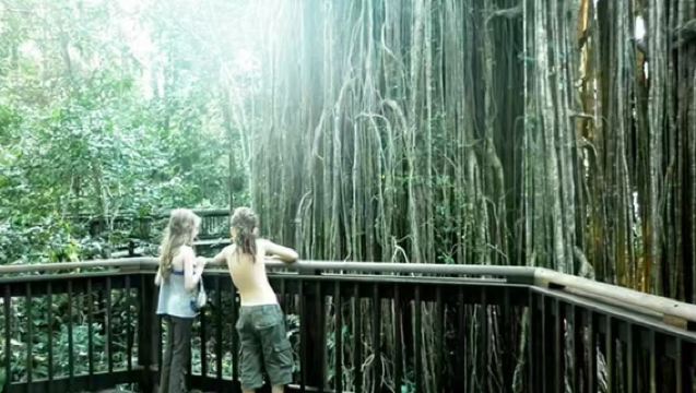 Lawatan sehari ke Paronella Park dan Dataran Tinggi Atherton di Cairns