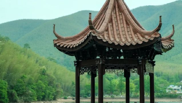 Hin- und Rückfahrt ab Wuxi: Tagesausflug zum Bambusmeer und Shanjuan-Höhle in Yixing | Chinesisch/englischer Reiseleiter | Privattransfer nach Maß