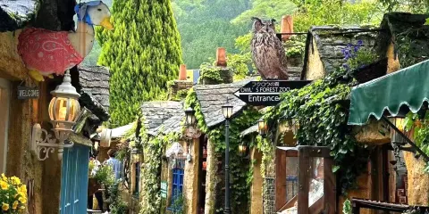 福岡出發・湯布院+別府海地獄+太宰府天滿宮一日遊【中文司機】