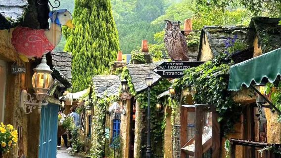 福岡出發・湯布院+別府海地獄+太宰府天滿宮一日遊【中文司機】