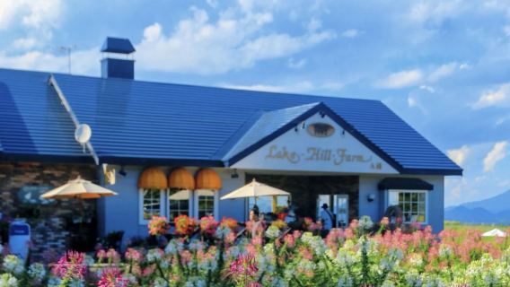 Sapporo Lake Toya + Taman Air Terkenal + Lembah Neraka Noboribetsu + Lawatan Sehari Ladang Tasik