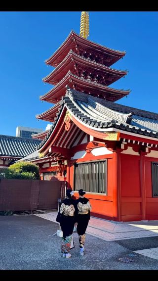 1-day tour in Tokyo to Shinjuku Gyoen National Garden, Ueno Park, Sensō-ji and Akihabara