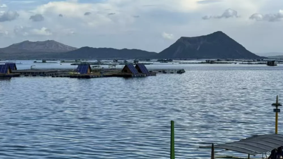 Philippines Tagaytay leisure 1-day tour: Four seasons farm + Taal Lake customize private charter|self-guided tour