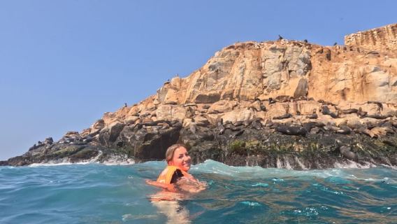 From Lima: Palomino Islands, Sea Lions Swim & Yacht Tour