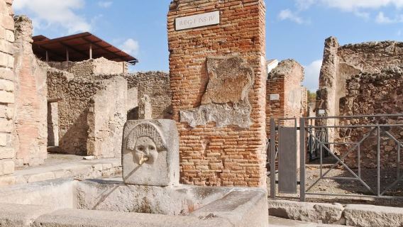 From Naples: Pompeii Ruins VIP Guided Tour