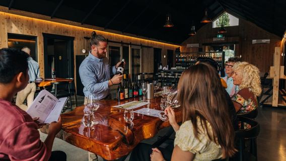 Queenstown: Classic Central Otago Wine Tasting Experience