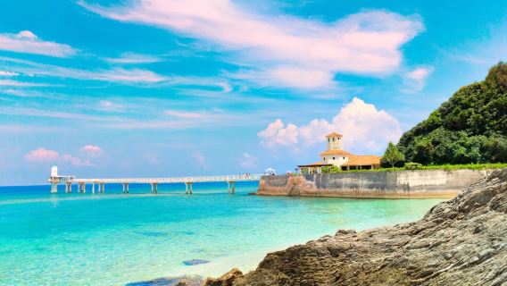 Japan Okinawa custom trip | Naminoue Shrine + Cape Manzamo + Southeast Botanical Gardens + Busena Marine Park