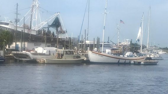 ClearwaterTours