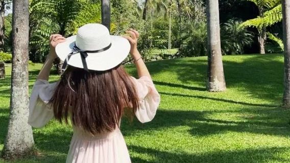 中科院西雙版納熱帶植物園+傣族園一日遊【隨團導遊+品質純玩+潑水狂歡】