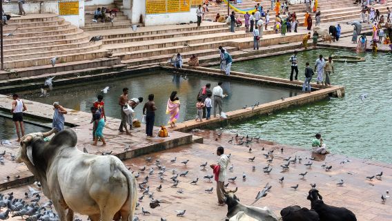 JaipurTravel Services