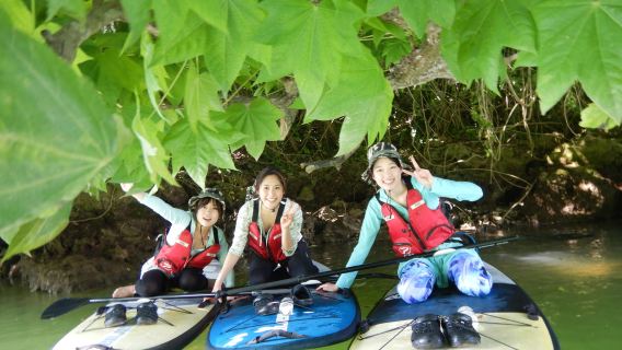 Esperienza all'avventura in kayak e SUP nell'area centrale di Okinawa, comodo da raggiungere! Fiume nella mangrovia