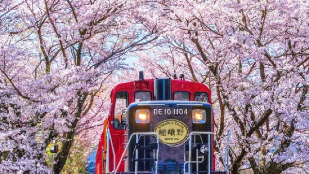 Μικρή ομάδα 9 ατόμων με εισιτήριο για το τραινάκι του Αρασιγιάμα + Ναός Κινκακούτζι + Ναός Κιγιομίζου, ημερήσια εκδρομή από την Οσάκα και το Κιότο