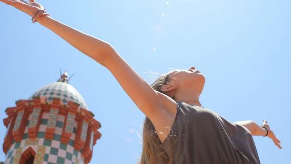 Casa Vicens: Early Access Ticket