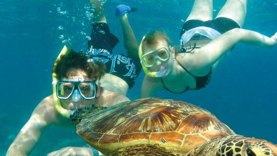 Green Island Eco Adventure Tour: Catamaran Cruise from Cairns