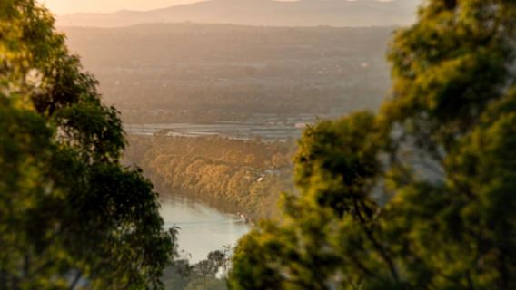 Lawatan sehari ke Brisbane Lone Pine Koala Sanctuary + Taman Perlindungan Gunung Coot-tha dengan perkhidmatan dwibahasa Cina-Inggeris