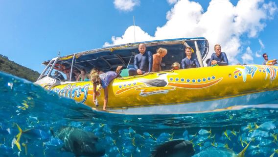 Airlie BeachExperiences