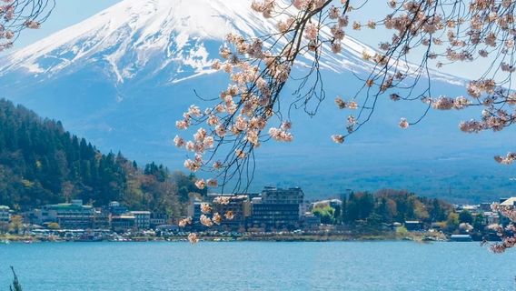 鳴澤村日遊