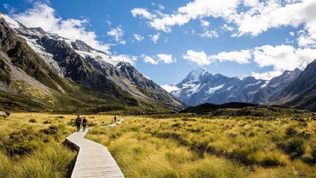 紐西蘭南島庫克山一日遊【特卡波來回庫克山(單程/來回可選)】