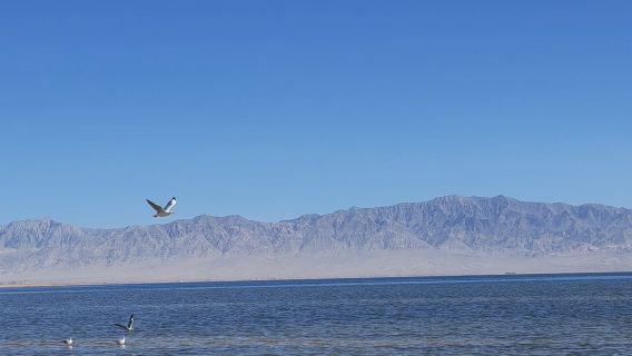 青海察爾汗鹽湖+大柴旦翡翠湖一日遊【包車遊】