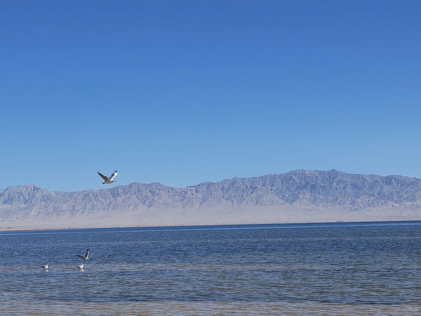 青海察爾汗鹽湖+大柴旦翡翠湖一日遊【包車遊】