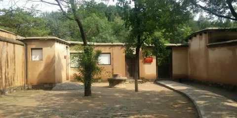 中國革命聖地/石家莊西北坡+河北博物院/英文導遊/翻譯 Q