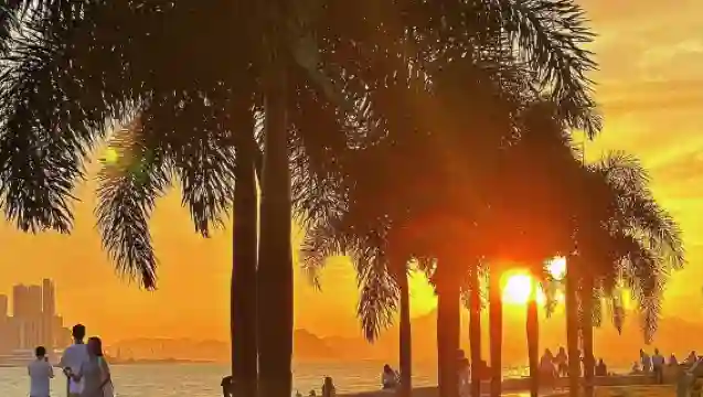 香港石澳+赤柱+西九龍【11小時包車+導遊，可自訂行程】