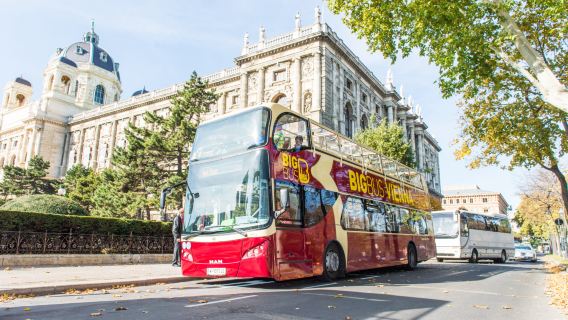 Vienna Double-decker Hop-on Hop-off Bus - Daytime Hop-on Hop-off Bus/Night Tour Bus - Big Bus Tours Vienna