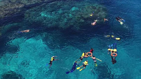 Fiji Kuata Island Kuata Ocean Protection Experience one-day tour