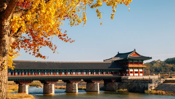 Passeio Limitado de Outono para Apreciar Bordo nos Sítios Históricos de Gyeongju, Coreia (Partida de Busan, Grupo a partir de 1 pessoa)