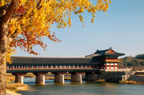 韓國慶州秋季限定歷史遺址賞楓一日遊 (釜山出發, 1人成團)