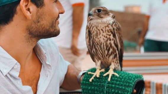 Safari sa mạc + BBQ Buffet + Xem biểu diễn trực tiếp + Cắm trại (Tiêu chuẩn/Deluxe/Cao cấp/Luxury không bắt buộc)