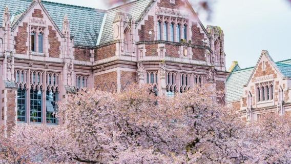 Excursión de un día en Seattle, Washington + Edificio de Amazon + Museo del Vuelo con servicio de coche privado con conductor [Viaje familiar|servicio de coche privado con conductor