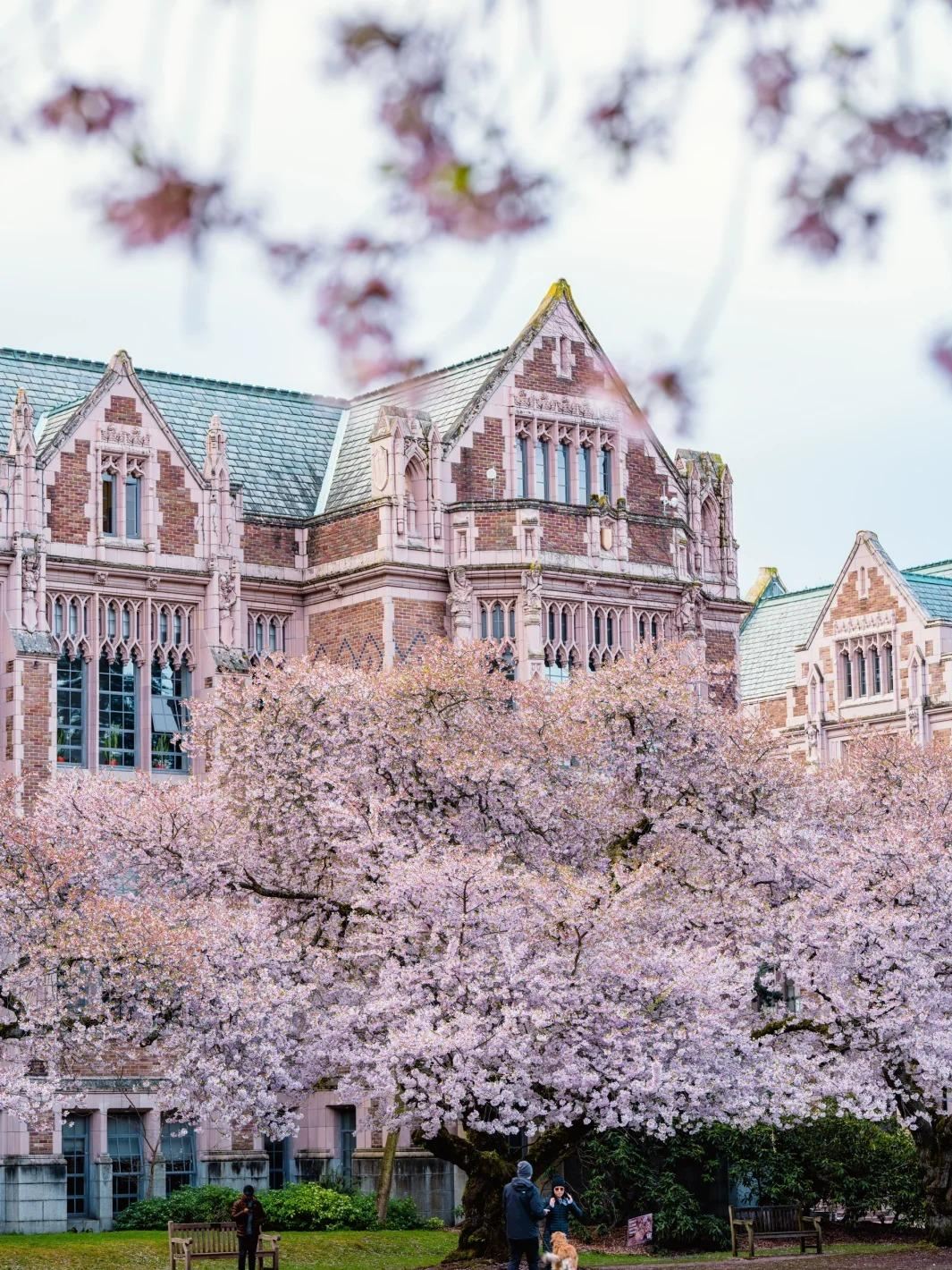 Seattle Washington + Amazon Spheres + The Museum of Flight private charter 1-day tour [Family-friendly]|private charter