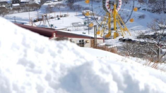 日本北海道-札幌來回-美瑛-富良野-旭川-紅葉/冬季必打卡