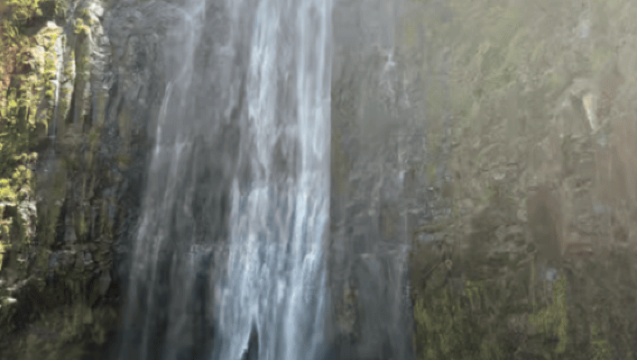 Arusha: 1 Day Materuni Waterfall,Coffee Tour and Packed Lunch