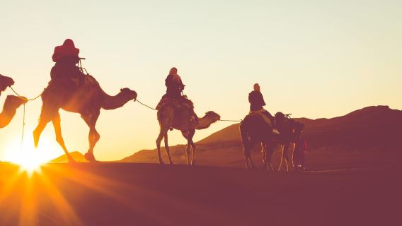 Douz: Sunset or Sunrise Sahara Desert Camel Ride