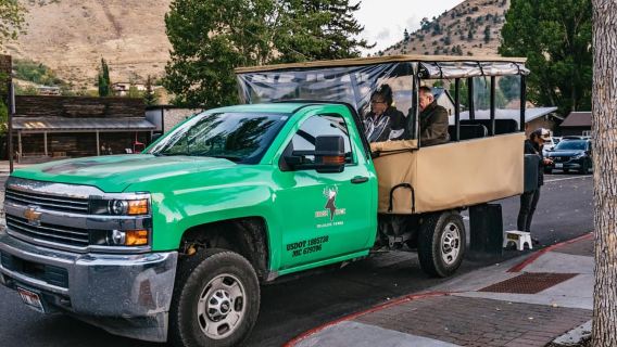 Jackson: Grand Teton National Park Guided Wildlife Tour