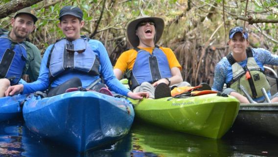 Safari en kayak dans les Everglades à travers les tunnels de mangrove
