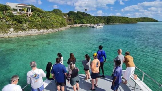 Тур на квадроциклах и плавающих свиньях в Нассау