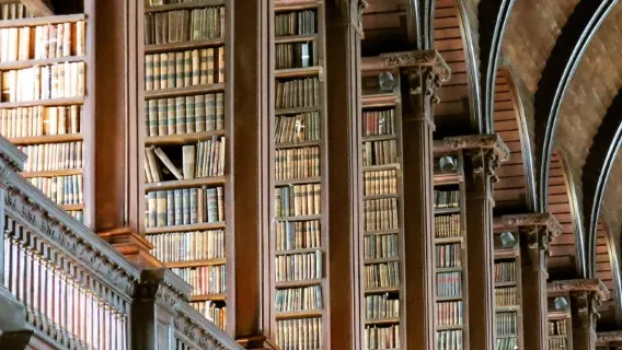 Book after inquiry/Ireland Dublin Guinness Storehouse Trinity College Phoenix Park/Airport/Point-to-point transportation/Tour guide and driver/Private car service