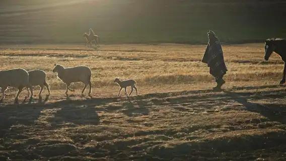 จาก Underberg: ทัวร์ส่วนตัว Sani Pass หนึ่งวัน