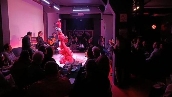CDMX: Pertunjukan Flamenco Langsung dan Makan Malam