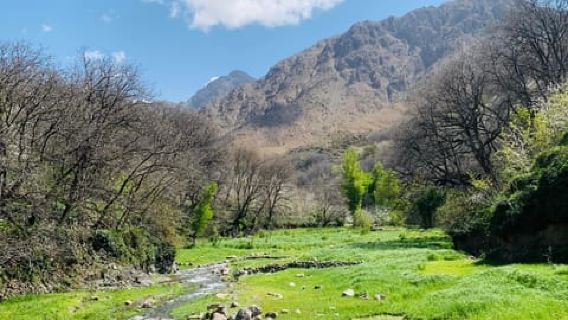 Marrakech: Imlil Atlasgebergte dagtrip met lunch