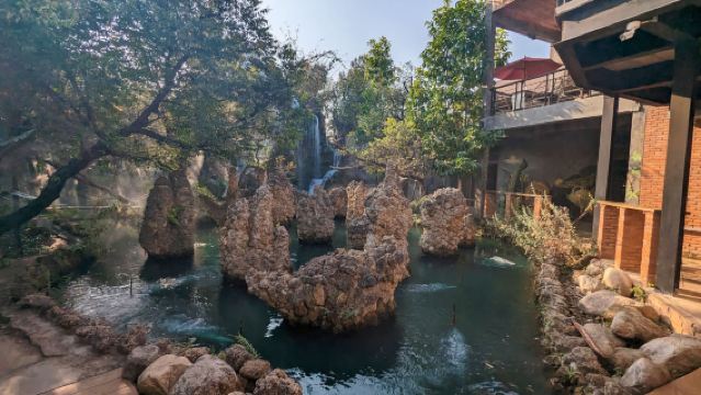 Chiang Mai Elephant Camp + Angel Waterfall Coffee + Chiang Mai Tiger Kingdom 1-day tour (Chinese-Speaking Private Car Service)